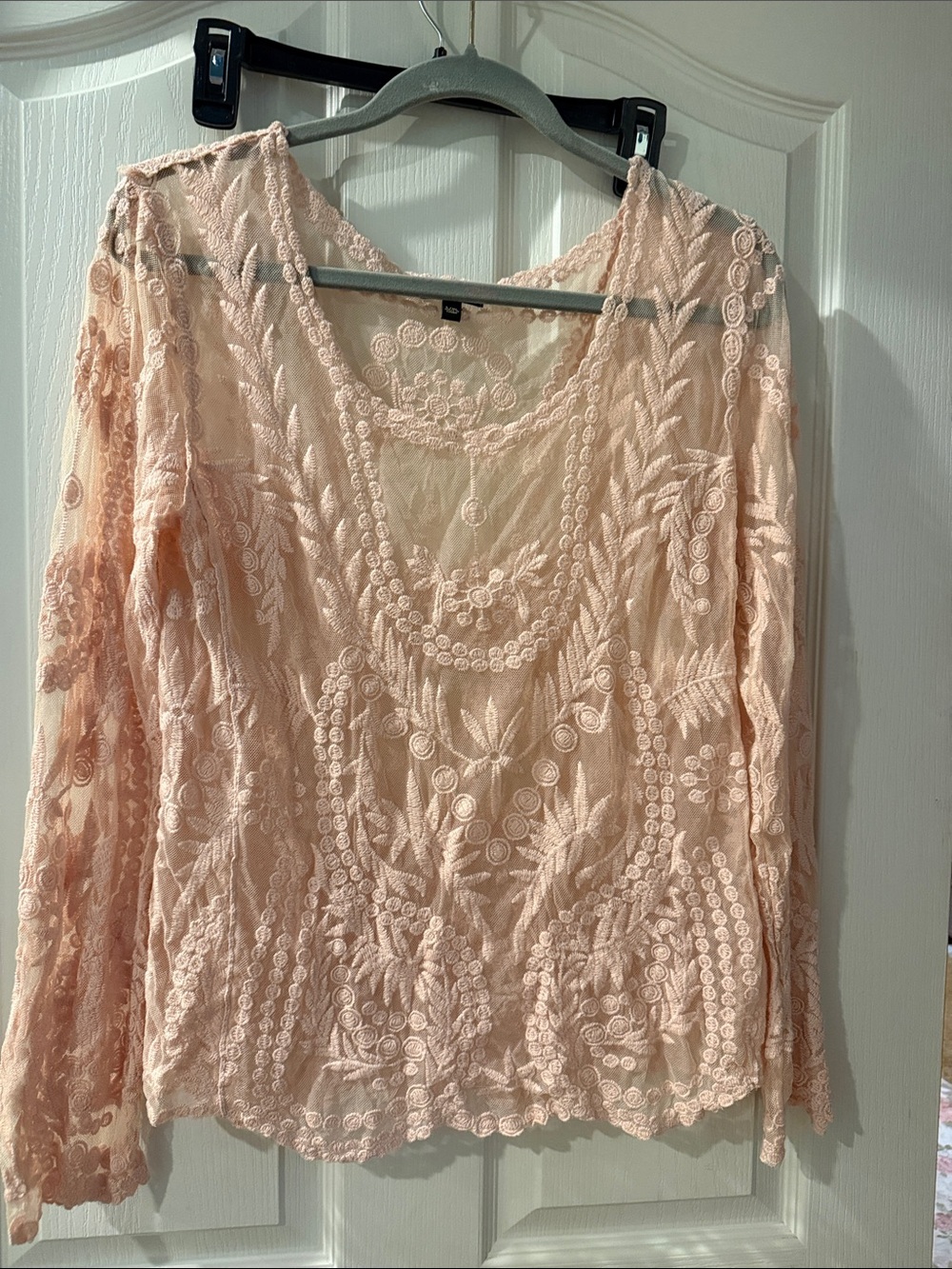 Cupio Blush Lace Embroidered Scoop Neck Blouse